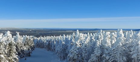 Etchemins (hiver)